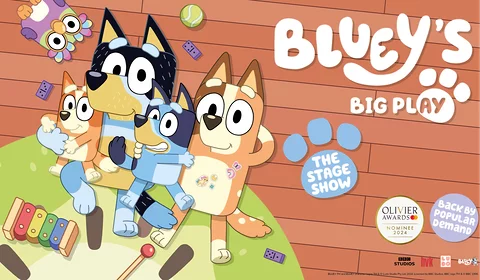 Bluey's Big Play