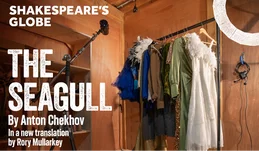 The Seagull